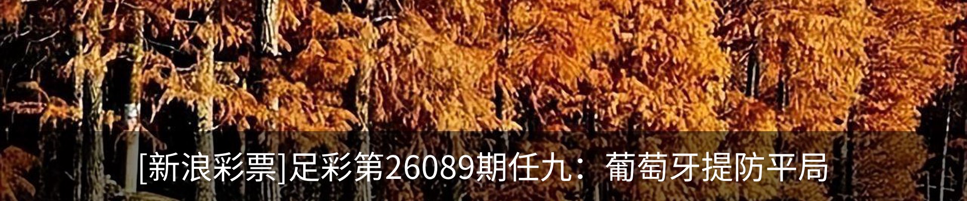 内页banner